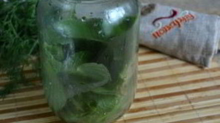 Рецепт малосольных огурцов без закатки