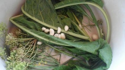 Рецепт малосольных огурцов на зиму