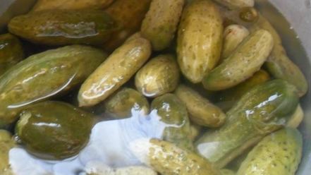 Рецепт малосольных огурцов на зиму