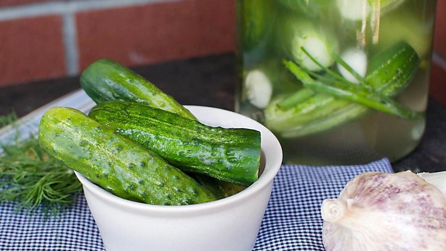 Рецепт малосольных огурцов с горчицей