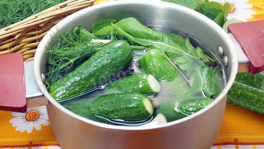 Рецепт малосольных огурцов с листьями ежевики