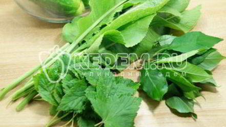 Рецепт малосольных огурцов в кастрюле