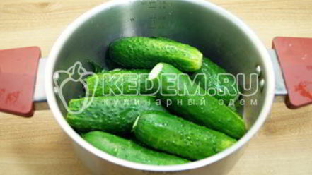 Рецепт малосольных огурцов в кастрюле