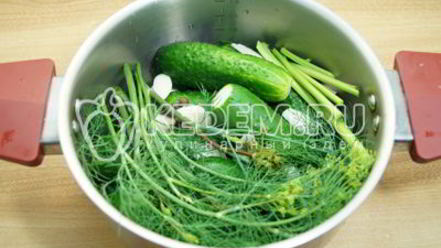 Рецепт малосольных огурцов в кастрюле