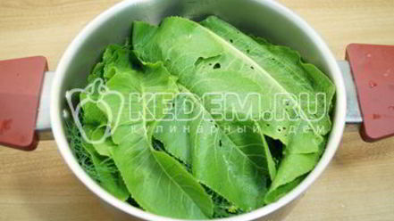 Рецепт малосольных огурцов в кастрюле