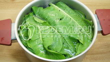 Рецепт малосольных огурцов в кастрюле