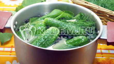 Рецепт малосольных огурцов в кастрюле