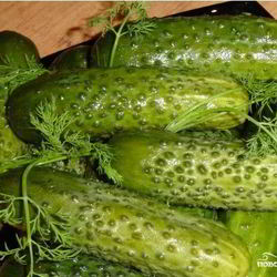 Рецепт Малосольных огурцов в холодной воде