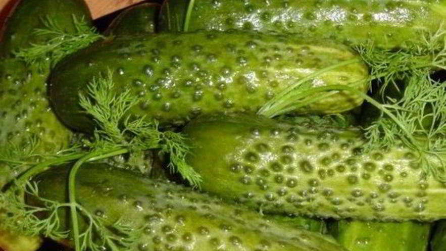 Рецепт малосольных огурцов в холодной воде
