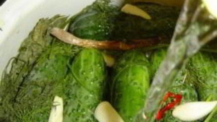 Рецепт малосольных огурцов в холодной воде