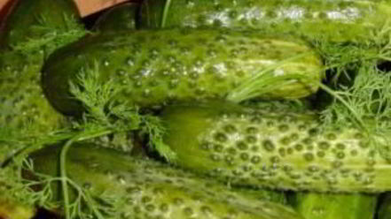 Рецепт малосольных огурцов в холодной воде