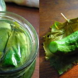 Рецепт Малосольных огурцов в виноградных листьях