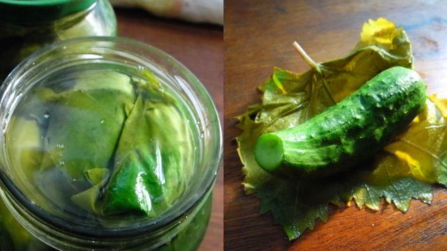 Рецепт малосольных огурцов в виноградных листьях