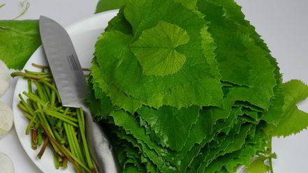 Рецепт малосольных огурцов в виноградных листьях