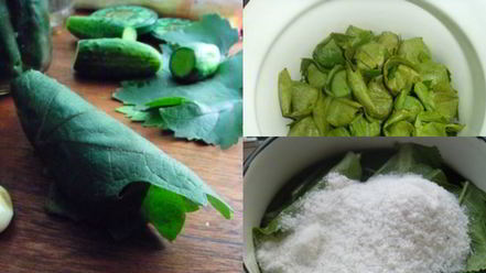 Рецепт малосольных огурцов в виноградных листьях
