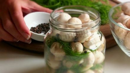 Рецепт малосольных шампиньонов