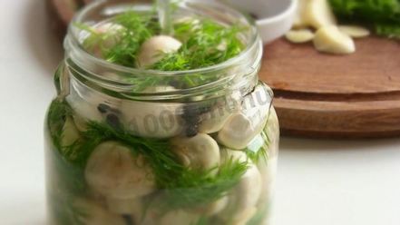 Рецепт малосольных шампиньонов