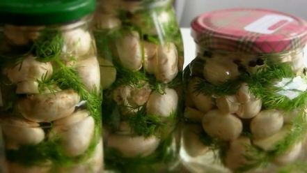 Рецепт малосольных шампиньонов