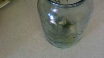 Рецепт огурцов малосольных с эстрагоном