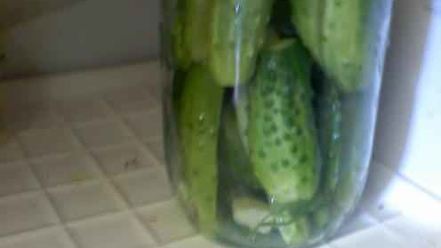 Рецепт огурцов малосольных с эстрагоном