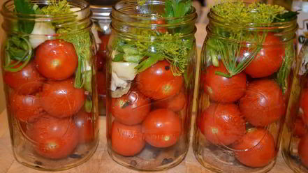 Рецепт помидоров консервированных