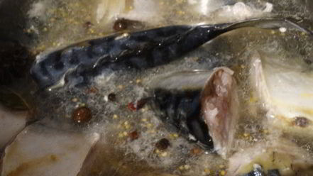 Рецепт скумбрии домашнего посола