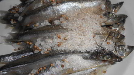 Рецепт соленой мойвы по-домашнему