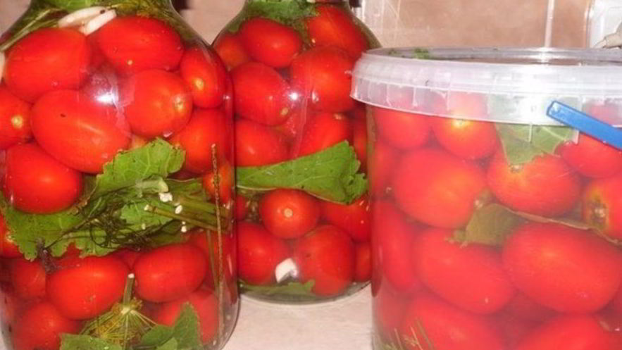 Рецепт соленых помидоров без закатки