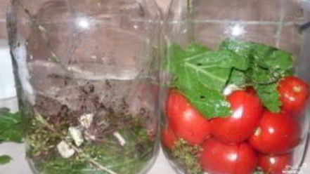 Рецепт соленых помидоров без закатки