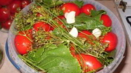 Рецепт соленых помидоров без закатки