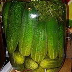 Рецепт Соленых огурцов на зиму