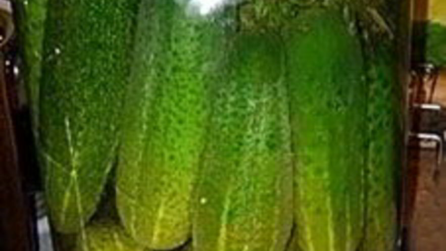 Рецепт соленых огурцов на зиму