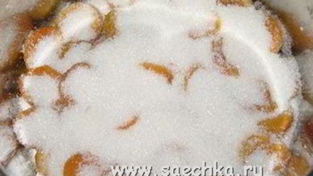 Рецепт абрикосового варенья