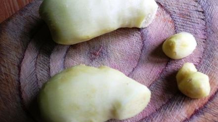 Рецепт сиропа цукаты имбирные