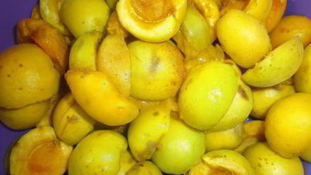 Рецепт сырого варенья из абрикосов