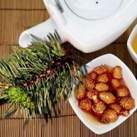 Рецепт Варенья из еловых шишек