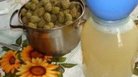 Рецепт варенья из еловых шишек