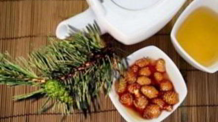 Рецепт варенья из еловых шишек