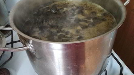 Рецепт варенья из грецких орехов