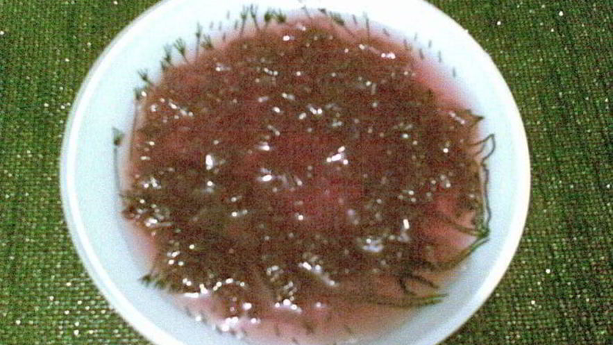 Рецепт варенья из лепестков розы