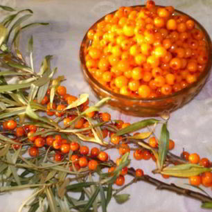 Рецепт Варенья из облепихи замороженной