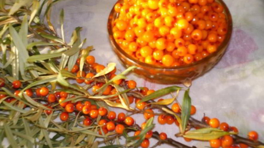 Рецепт варенья из облепихи замороженной