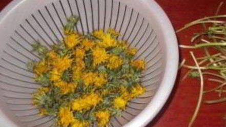 Рецепт варенья из одуванчика для печени