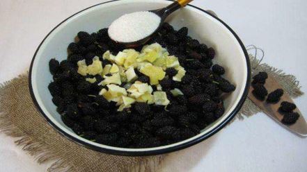 Рецепт варенья из шелковицы