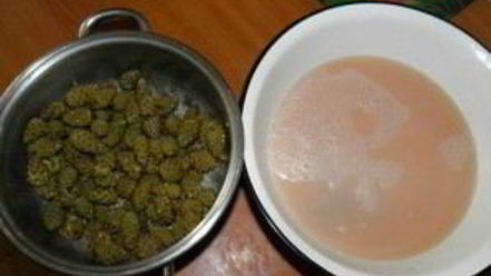 Рецепт варенья из сосновой шишки