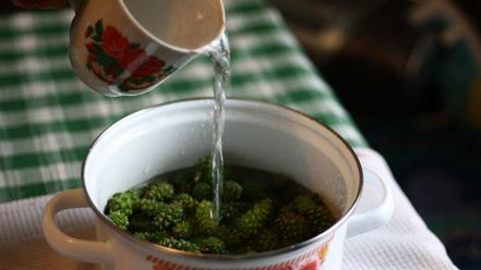 Рецепт варенья из сосновых шишек