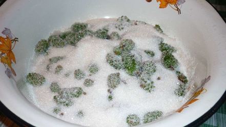 Рецепт варенья из сосновых шишек