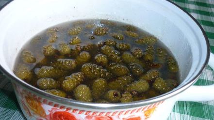 Рецепт варенья из сосновых шишек