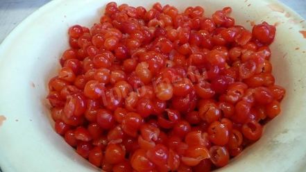 Рецепт варенья из войлочной вишни