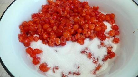 Рецепт варенья из войлочной вишни